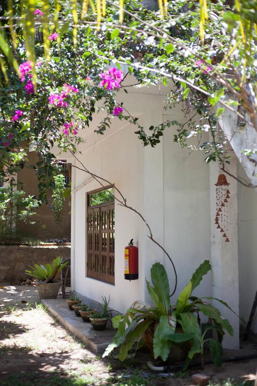 East Surf Cabana Arugam Bay Exterior photo